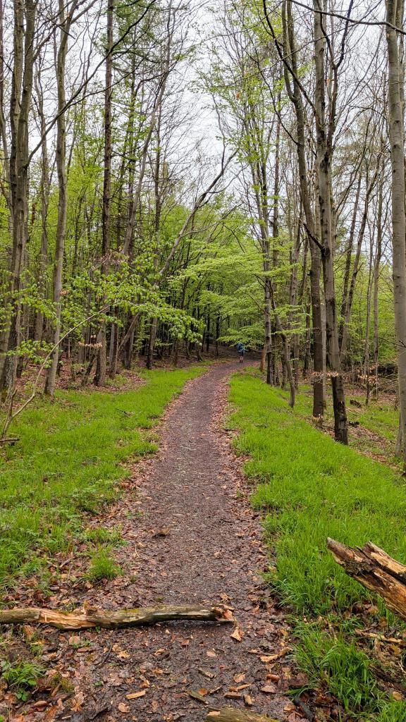 Neelum Valley & Azad Kashmir – 7 Days / 6 Nights - Day 4