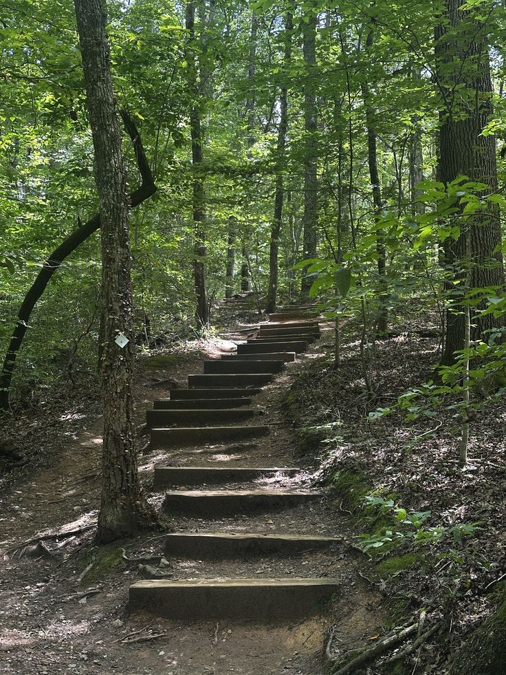 Shogran Valley – 3 Days / 2 Nights - Experience